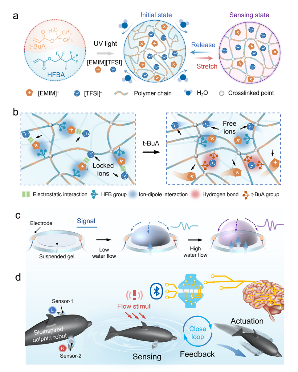超分子耦合增強(qiáng)型離子皮膚用于水下傳感與機(jī)器人_離子液體應(yīng)用【默尼離子液體】